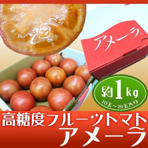 静岡県産 ”高糖度フルーツトマト アメーラ” 10〜20個前後 約1kg 化粧箱入り 送料無料