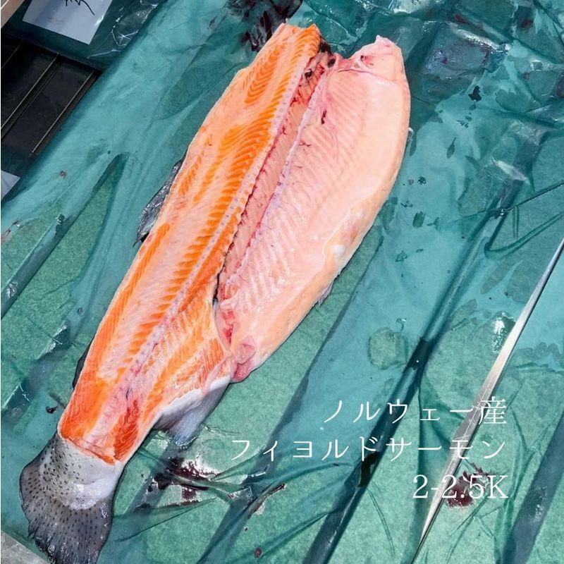 生フィヨルドサーモン半身 1.7-2kg（魚体4-5キロサイズの半身）ノルウェー産フィヨルド半身冷蔵 豊洲直送