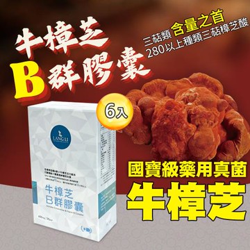浪利957-專利強效B群牛樟芝子實體膠囊10入(B群+牛樟芝)