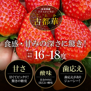 高級いちご「古都華」４L以上２パック＆古都華ジャム2個 いちご 高級 古都華 4L以上 約280g × 2パック(約560g) 古都華ジャム 150g × 2個 美味しく甘い 光沢のある 濃いルビー色 華やかな香り 高い糖度 ほどよい酸味 濃厚な味わい 保存料不使用 加工品 フルーツ 果物 お取り寄せ 送料無料