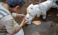 オーガニック鹿肉ペットフード（犬用）ドライタイプ1kg