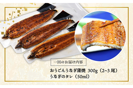 おうごん うなぎ 300g[KAB138]  長崎 平戸 魚介類 魚 うなぎ 鰻 ウナギ 蒲焼 かばやき 定期便