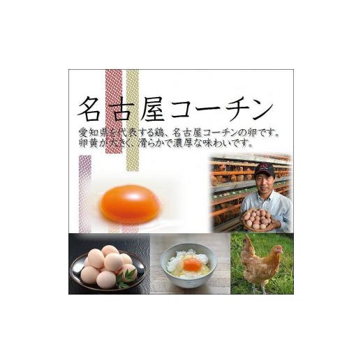 ふるさと納税 愛知県 大府市 業務用　日本三大地鶏！！ 「純系　名古屋コーチンの卵」（90個）　本当に美味しい食べ物は調味料の味に負けません！