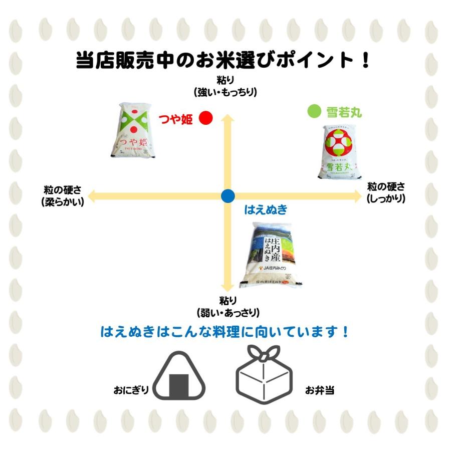 令和４年 はえぬき 2kg 白米 山形県 庄内産 山形が生んだ美味しいお米