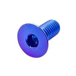 【GAME SPACE】正鈦螺絲 車牌螺絲 平頭 花頭 6-15 6-20 平頭螺絲 星型螺絲 M6 鈦合金 正鈦 螺絲