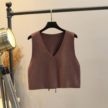 馬甲背心外套春秋坎肩2025新款針織女士毛衣V領修身馬夾無袖外穿