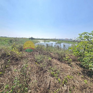 嘉義義竹8.4分養殖用地｜地形方正農地｜嘉義縣義竹鄉北港子