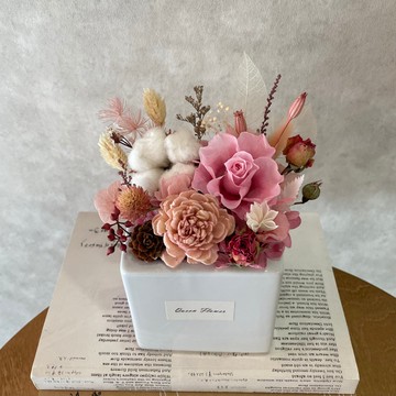 乾燥盆花/永生盆花/棉花/開幕花禮/生日花禮/ 客製化