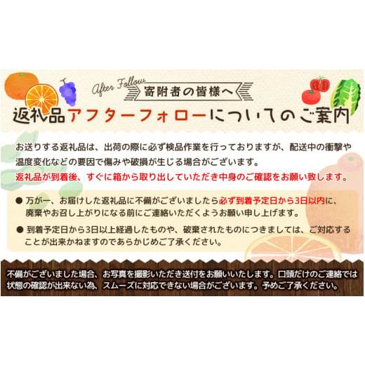 ふるさと納税 和歌山県 広川町 完熟有田みかん 10kg ※2023年11月下旬頃〜2024年1月下旬頃に順次発送予定