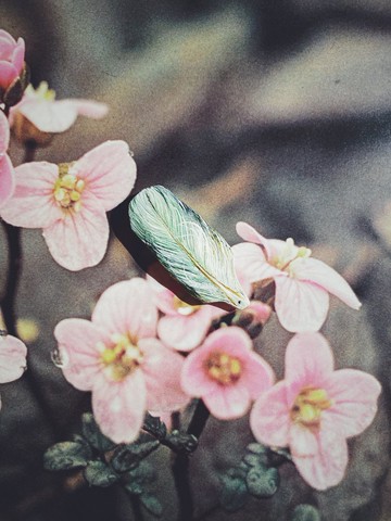木刻手繪墜飾 - 羽毛