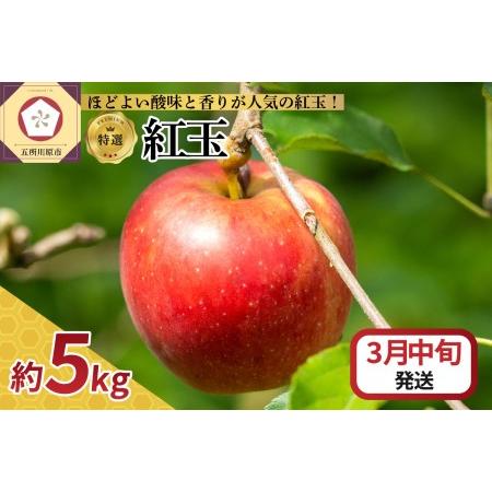 ふるさと納税  りんご 5kg 紅玉 青森 青森県五所川原市
