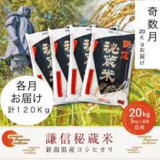 謙信秘蔵米20kg(精米)全6回