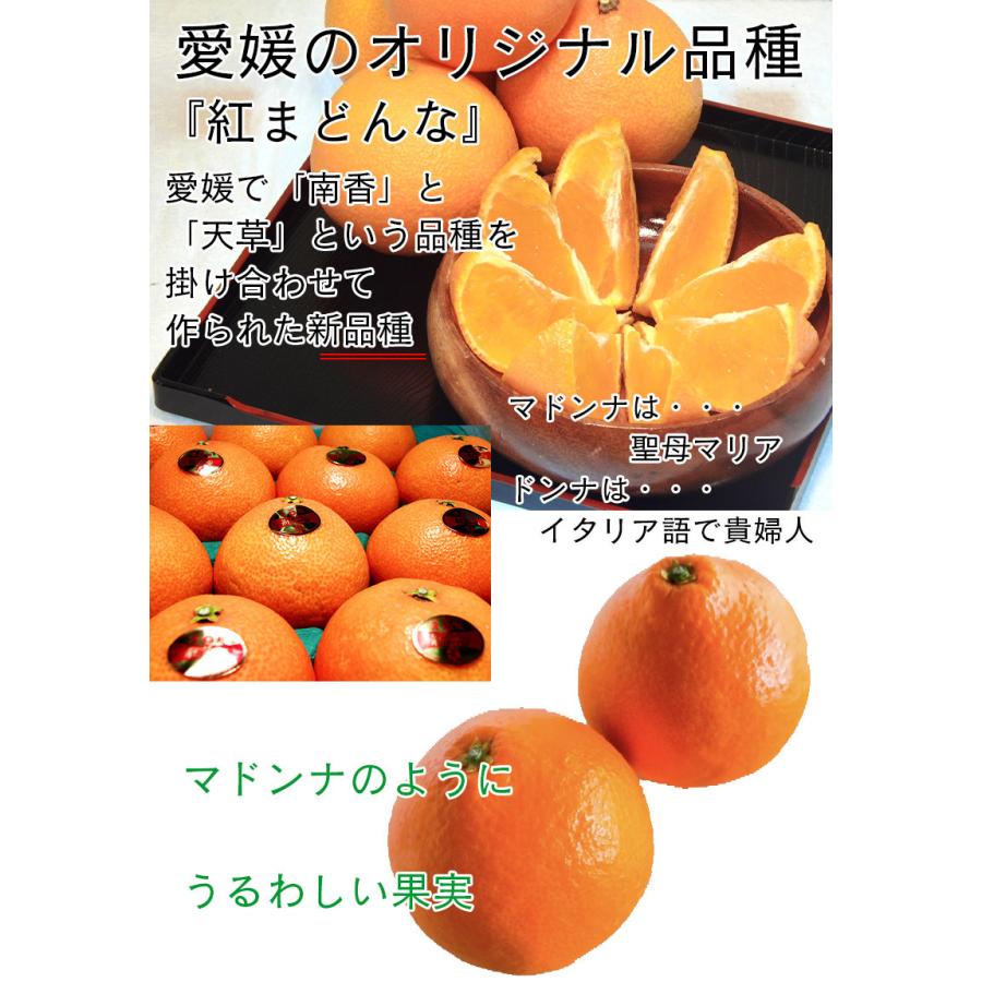 紅マドンナ 紅まどんな 訳あり 送料無料 愛媛県 紅まどんな 2.5kg みきゃん箱 3Lサイズ ぜりーのようなプルプル果肉 愛媛の貴婦人 ギフト お歳暮