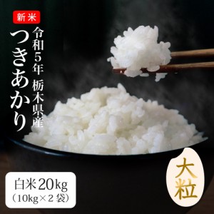 令和5年 新米 20kg つきあかり 米 お米 送料無料 発送当日精米 栃木県産（北海道・九州 300円）