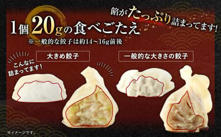 大きめ 餃子 100個 計2kg ラー麦 ぎょうざ 冷凍