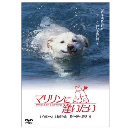 「きな子~見習い警察犬の物語~」DVD発売記念　 犬だワンダフルキャンペーン(中古品)