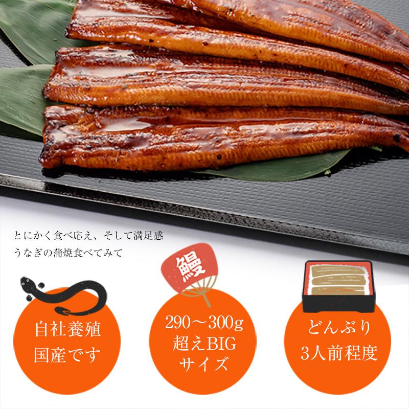 国産うなぎの蒲焼き 特大１尾（300g前後）約２~3人前 くまもと産 送料無料(離島を除く）国産