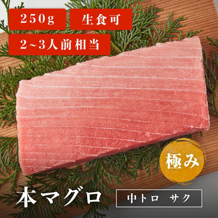 マグロ 刺身 本マグロ 中トロ 柵 サク 極み 250g 2~3人前相当 刺身用 お取り寄せ 冷凍鮪 本鮪