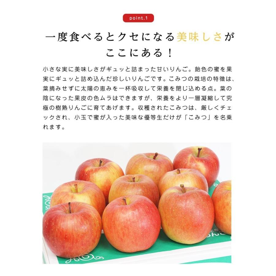 送料無料 青森県産 りんご こみつ(少し訳あり)6〜13玉 約2kg