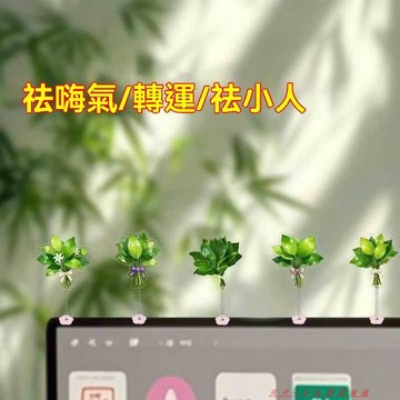免運下殺💯電腦屏幕飾品彈簧搖搖柚子葉去晦氣轉運幸運亞克力創意裝飾品
