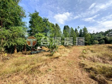中埔能仁淨寺旁農地｜嘉義縣中埔鄉鹽館