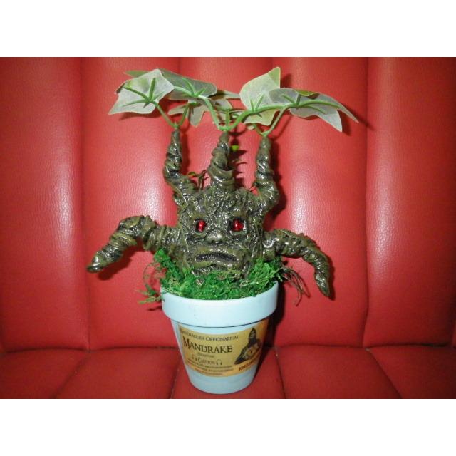 カイゾクソウコ☆マンドレイク☆62号☆人形☆フィギュア カイゾクソウコ☆マンドレイク☆62号☆人形☆フィギュア