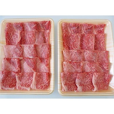 ふるさと納税 瑞穂市 A5等級飛騨牛:赤身肉焼き肉用約1kg　モモ又はカタ肉