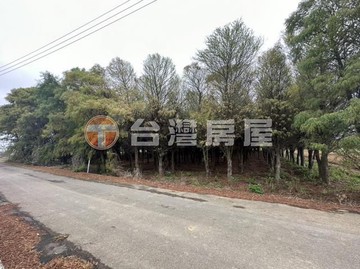 新豐鄉後湖美農地-送落雨松｜新竹縣新豐鄉埔頂