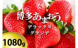 いちご の王様「博多あまおうデラックス＆グランデ」4パック