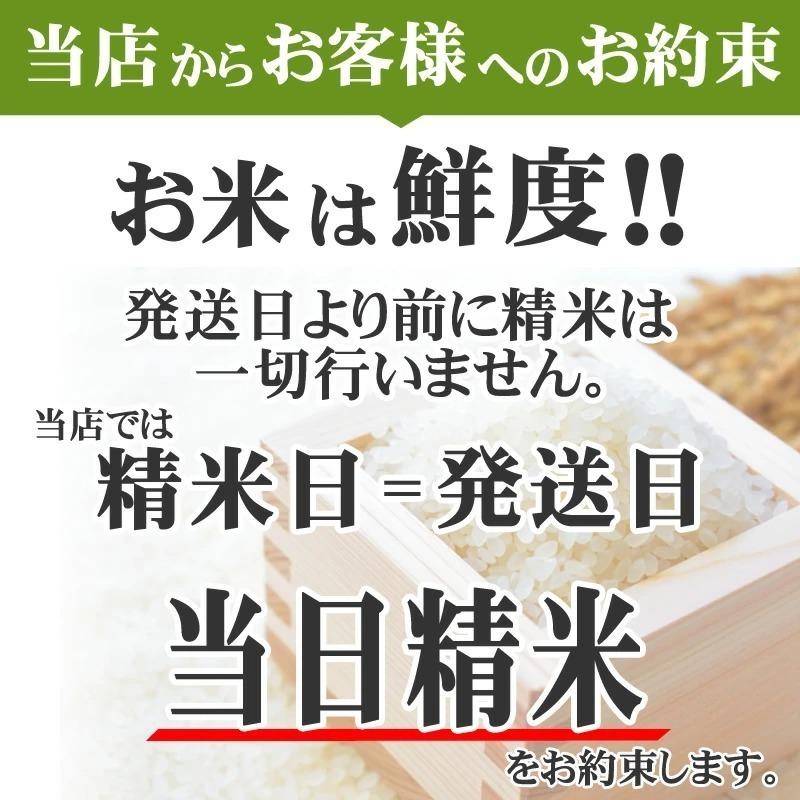 ポイント消化 米 お米 送料無料 銀河のしずく 450g (3合) 令和4年産 岩手県産 白米 無洗米 分づき 玄米 当日精米 真空パック メール便 ゆうパケ