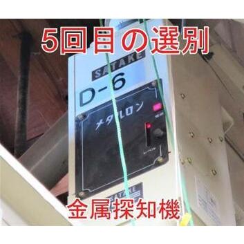 ふるさと納税 10kg 大手有名百貨店出荷米 あきたこまち 令和5年産米 秋田県大仙市