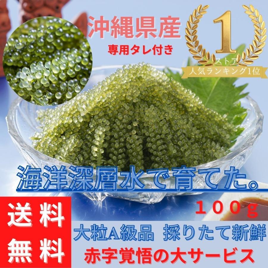 送料無料 海ぶどう 沖縄県産 海ぶどう タレ付き A級品大粒 海洋深層水で育てた ポイント消化 食品 おすすめ