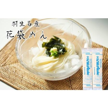 ふるさと納税 明治六年創業　武州羽生名産　「花袋ひやむぎ」　40人前(200g×20入) 埼玉県羽生市