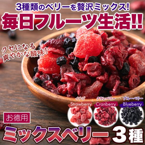 ミックスベリー3種 500g×4個セット ドライフルーツ ドライフルーツセット 乾燥果実 乾燥 ドライ フルーツ ミックス ヨーグルト おやつ