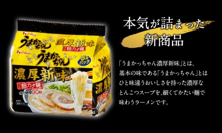 うまかっちゃん濃厚新味(5袋パック×12セット)  ハウス食品(株)