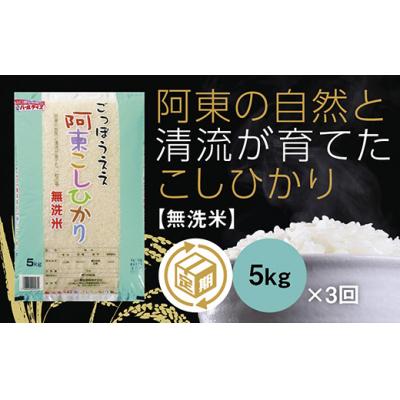 ふるさと納税 山口市 阿東こしひかり(無洗米5kg)3か月定期便 D-163