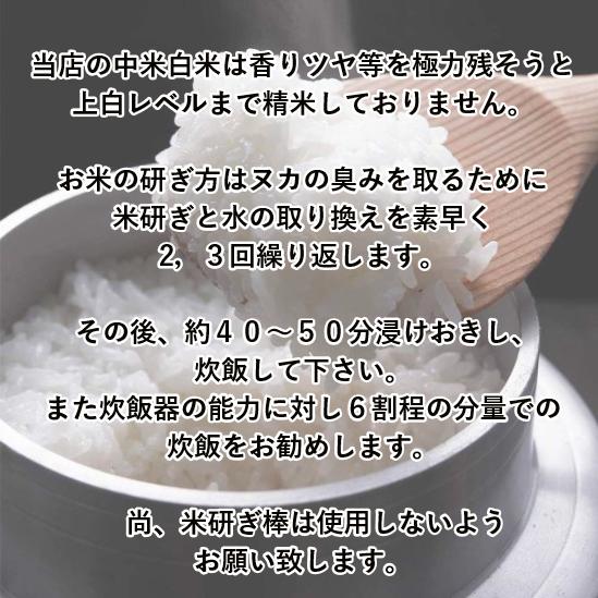 米 10kg「ミルキークイーン規格外 白米10kg」送料無料 令和5年産