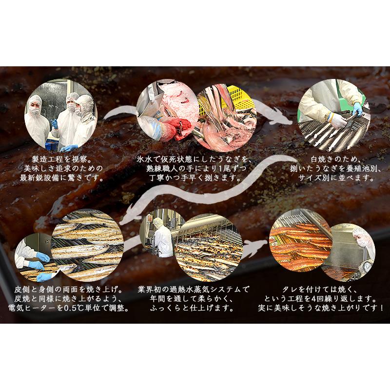 うなぎ 蒲焼き 国産 ひつまぶし 刻み 80g×1袋 きざみうなぎ ウナギ 鰻 冬グルメ 冬ギフト