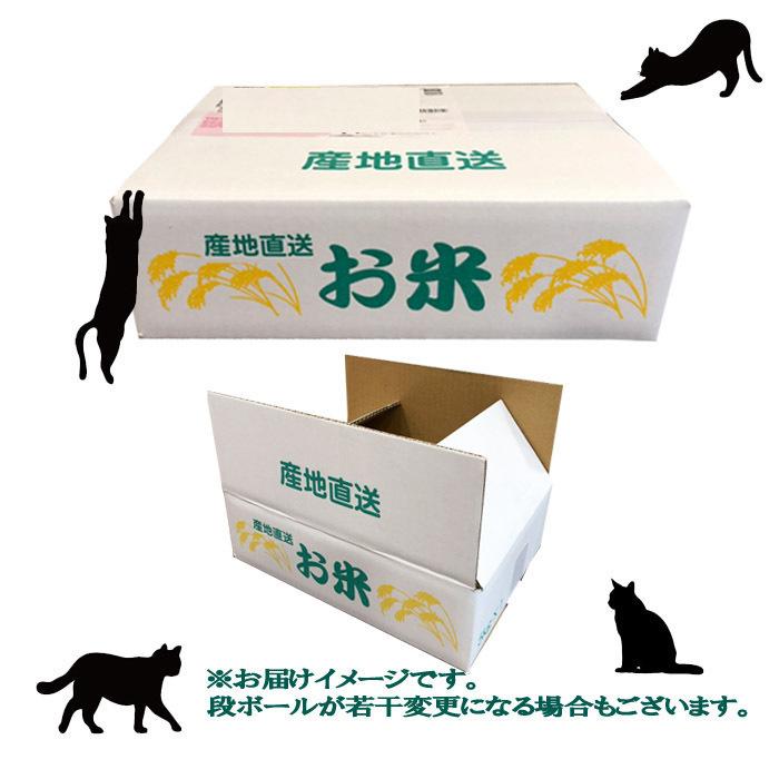 令和5年産　環境プレミアムひとめぼれ　宮城県産　5Kg　特別栽培米（減農薬・減化学肥料）　精米　送料無料（一部地域を除く）