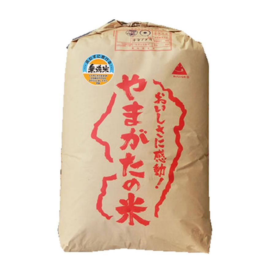  新米 無洗米 令和5年産 もち米 山形県産 ヒメノモチ 精米３０kg