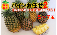 東村産パインアップルお任せセット２(5～7個)