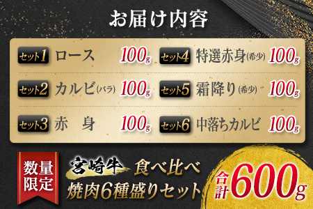 数量限定≪特選≫宮崎牛食べ比べ焼肉6種盛りセット(合計600g)　 肉　牛　牛肉 EB6-21