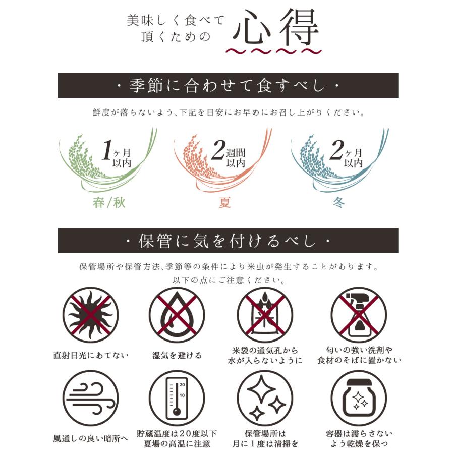 無洗米 10kg 5kg×2 コシヒカリ 魚沼産 新潟県産 送料無料 米10kg お米10キロ 米 お米 白米 精米 おこめ 送料無 高級 令和5年産 新米 令和4年 単一原料米