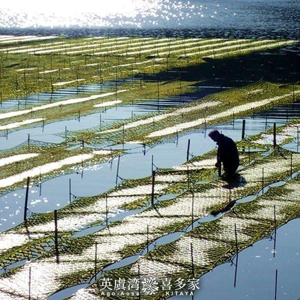 送料無料 あおさのり 三重県 あおさ海苔 20g×10袋［優品］志摩英虞湾産 高級アオサ ［お歳暮 ギフト プレゼント］