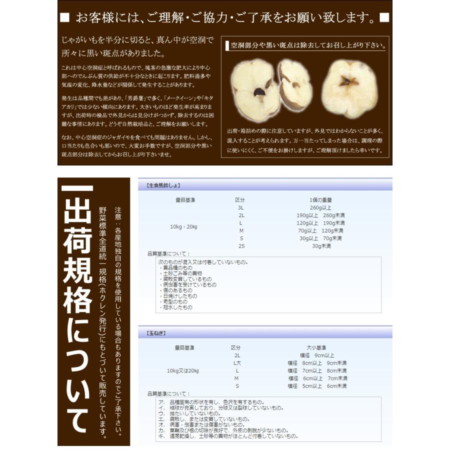 北海道産 じゃがいも メークイン 10kg メイクイン ジャガイモ 馬鈴薯 新じゃが 越冬 野菜 自宅用 家庭用 北海道 グルメ 送料無料 お取り寄せ