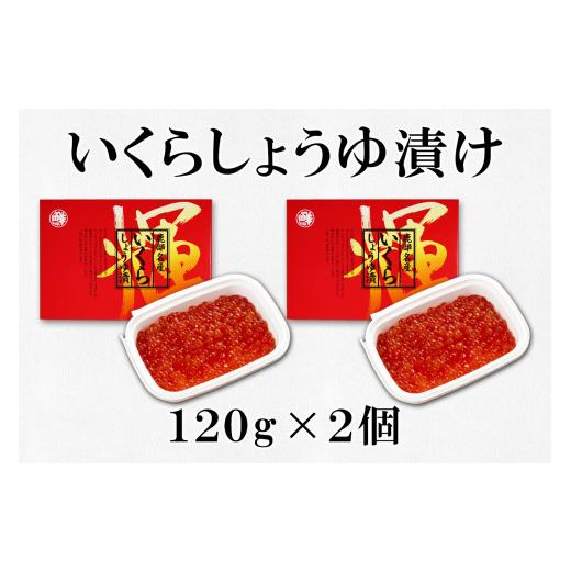 ふるさと納税 北海道 鹿部町 北海道産いくら240g 大粒ほたて貝柱250g 玲瓏たらこ240g 玲瓏明太子240g 丸鮮道場水産 小分け 食べ切り 食べきり