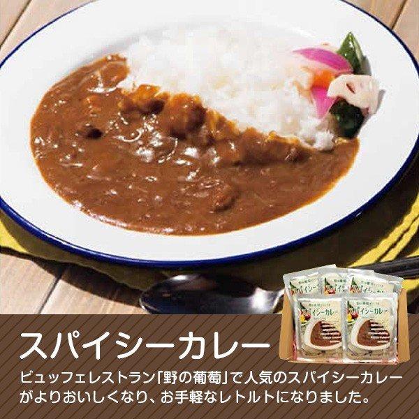 レトルトカレー カレー スパイス 牛肉 セット ギフト お取り寄せ グルメ お返し 詰め合わせ ぶどうの樹 5個 お歳暮 冬ギフト