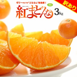 家庭用 訳あり 紅まどんな (約3kg) 愛媛産 べにまどんな 紅マドンナ ベニマドンナ みかん ミカン 蜜柑 柑橘 3キロ 食品 フルーツ 果物 み