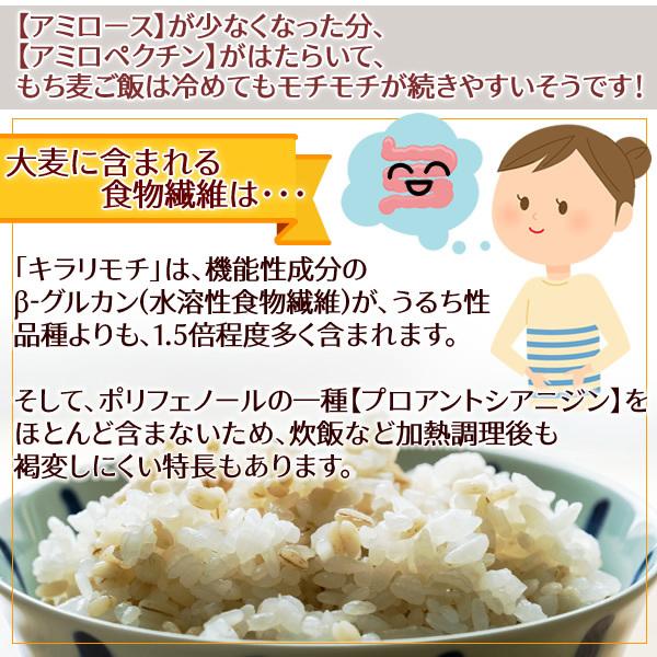 キラリモチ 岡山県産 950g もち麦 国産 メール便 送料無料