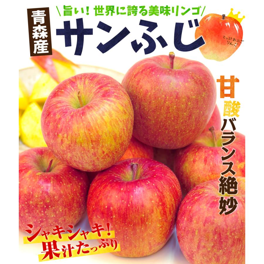 りんご 10kg 大特価 サンふじ 青森産 ご家庭用 送料無料 食品